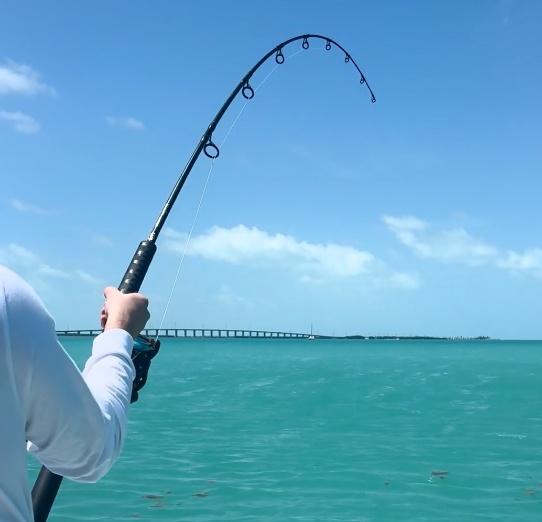 great fishing experience 