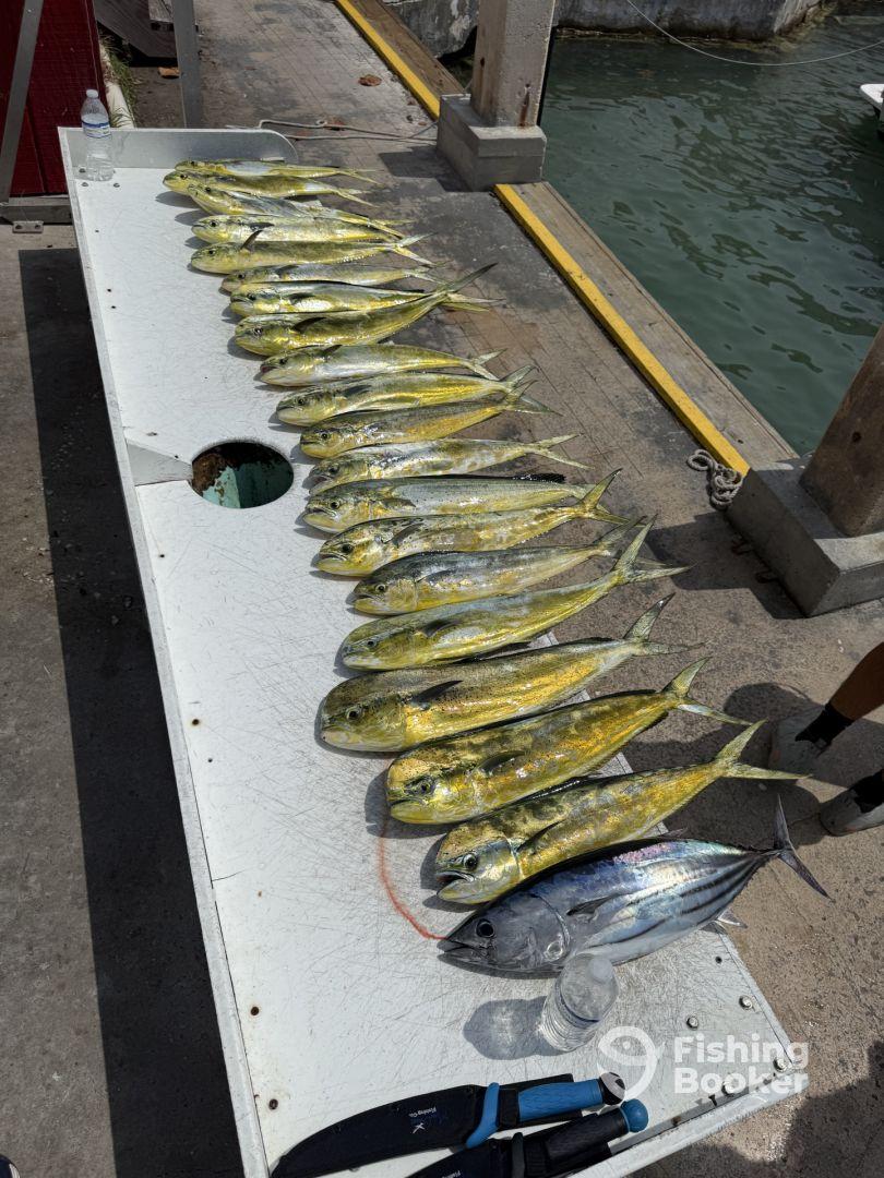 Great half day trip!