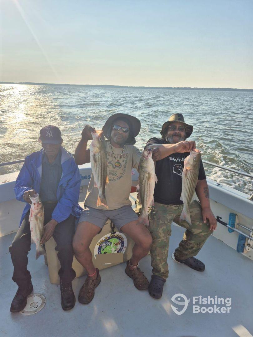 Three anglers proudly displaying their catch of striped bass while enjoying a sunny day on the water.