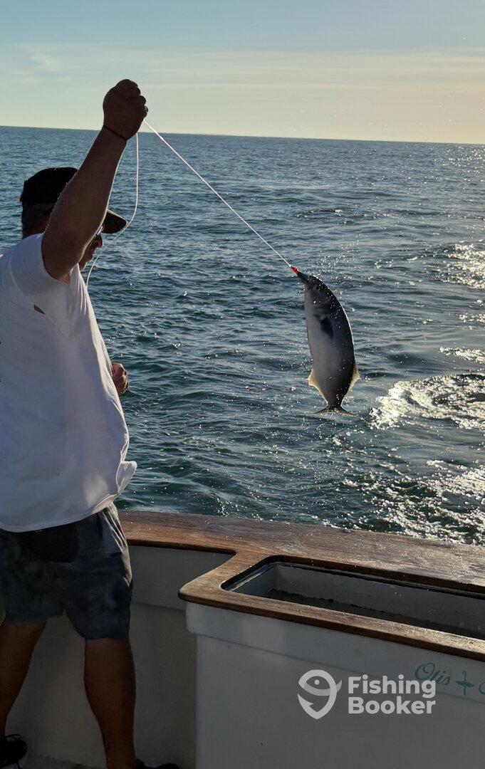 Angler reeling in a fish while fishing on a boat, showcasing the excitement of the catch in open waters.