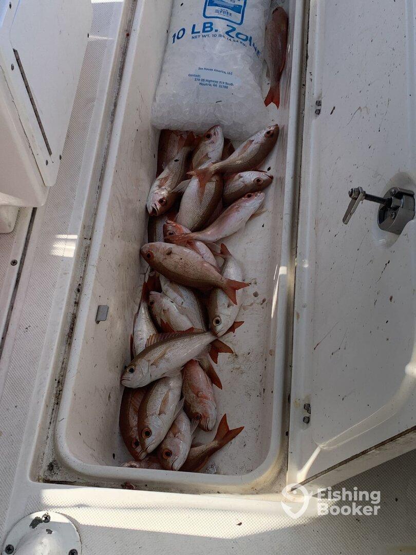 Half day with Cap’n Wes