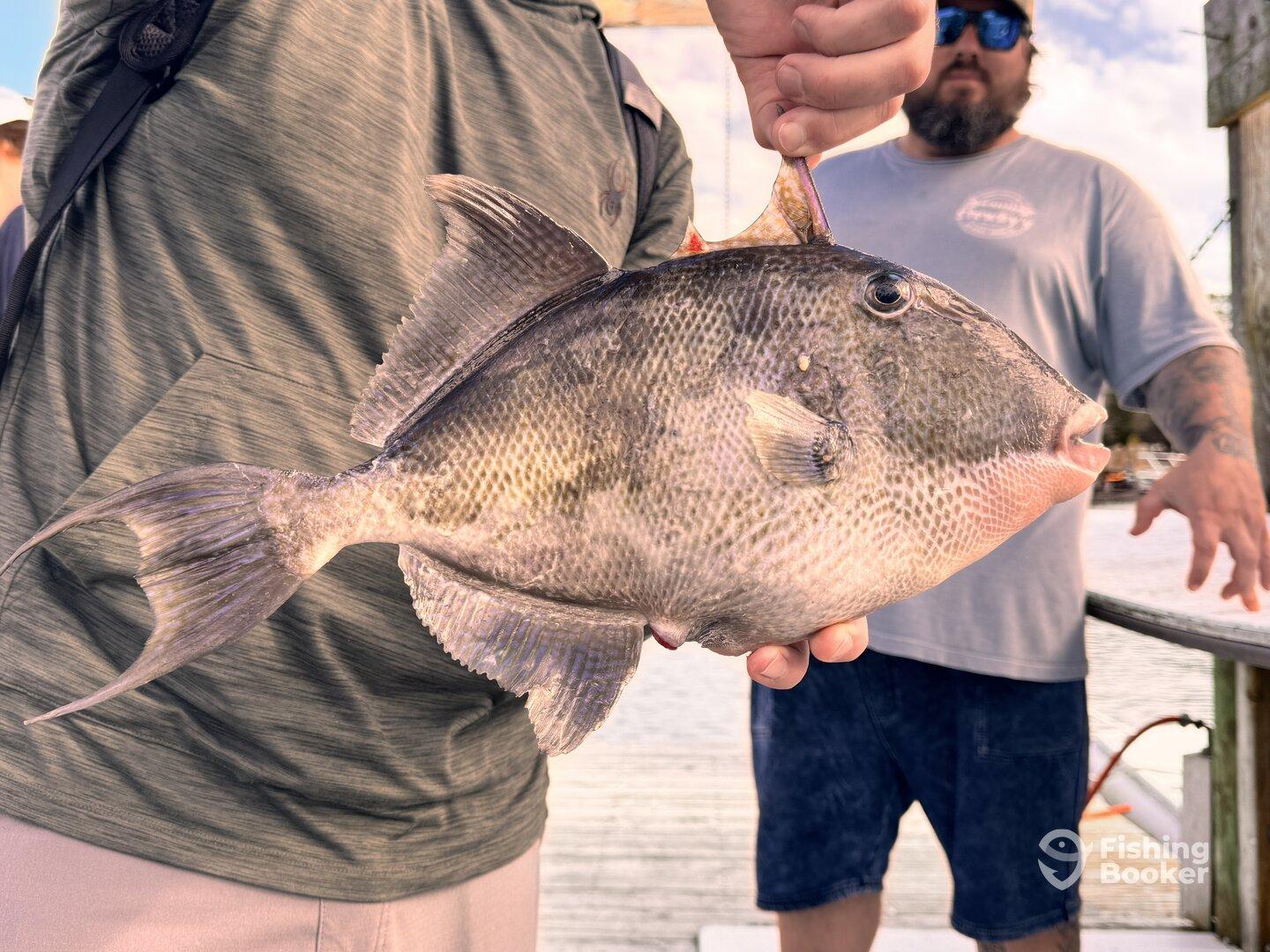 A proud angler displays a freshly caught fish, showcasing a successful day of fishing at the dock.