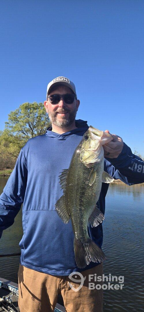 Angler proudly displaying a large Largemouth Bass while fishing on a serene lake.