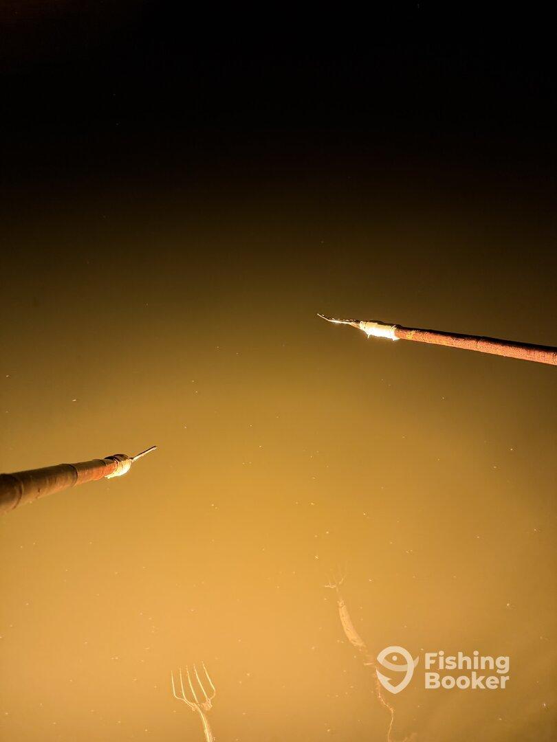 An unclear image showing spearfishing equipment submerged in murky water, with no visible fish or clear subjects.