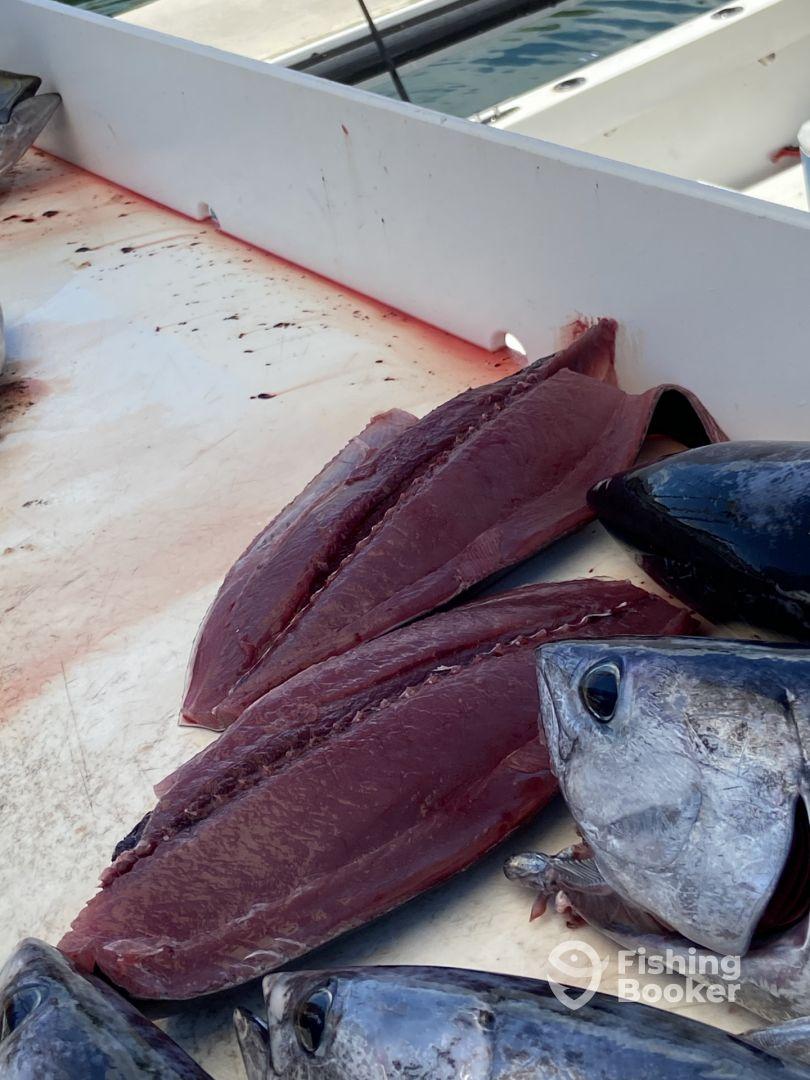 Half day trip with Captain Garret Frey