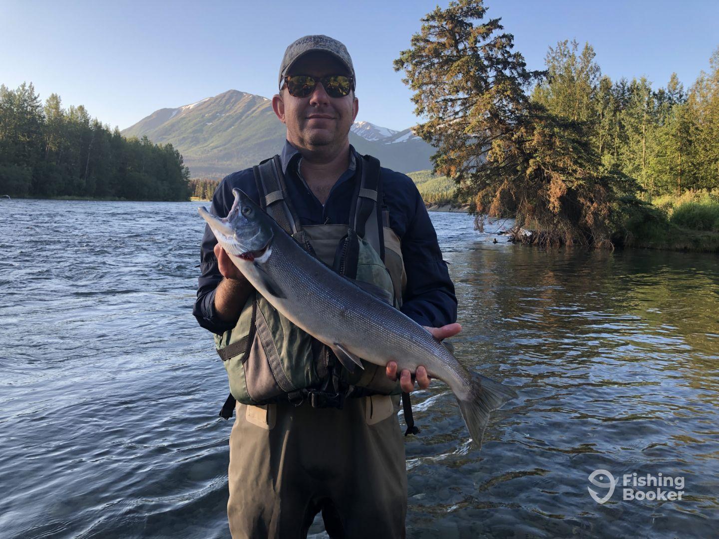 An angler proudly displaying a large salmon while standing in a scenic river, surrounded by lush greenery and mountains.