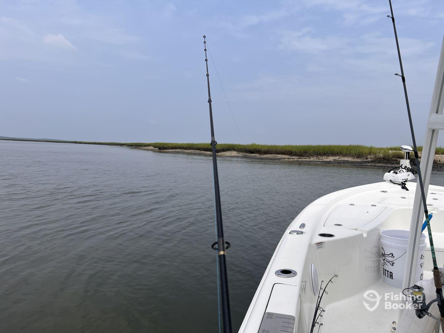 A view of a fishing boat anchored in a calm estuary, showcasing fishing rods and the surrounding lush greenery.