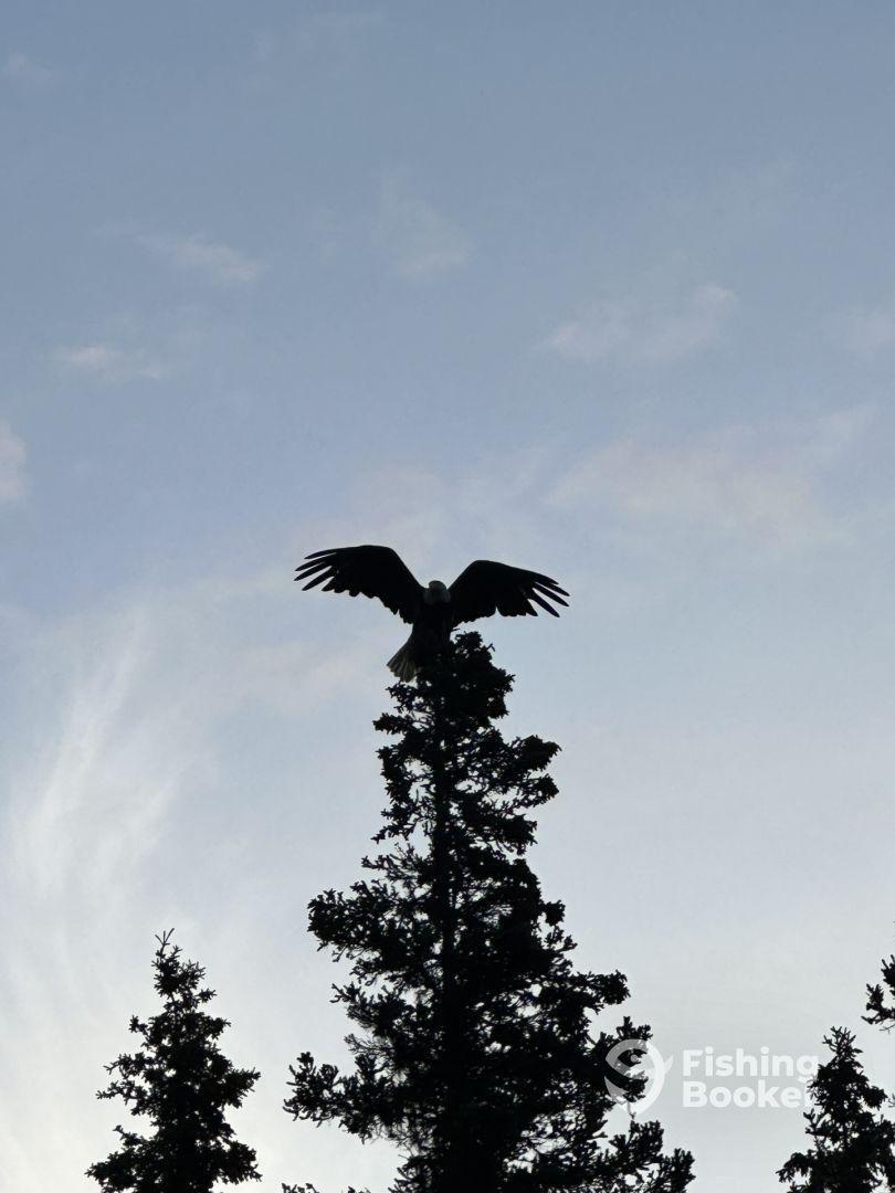 Half Day Trip with Luke on the Kasilof 