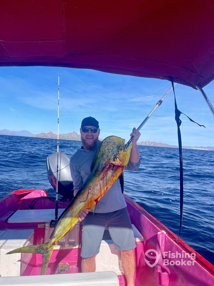 An excited angler proudly displaying a large Mahi Mahi while aboard a vibrant pink fishing boat in a scenic ocean setting.