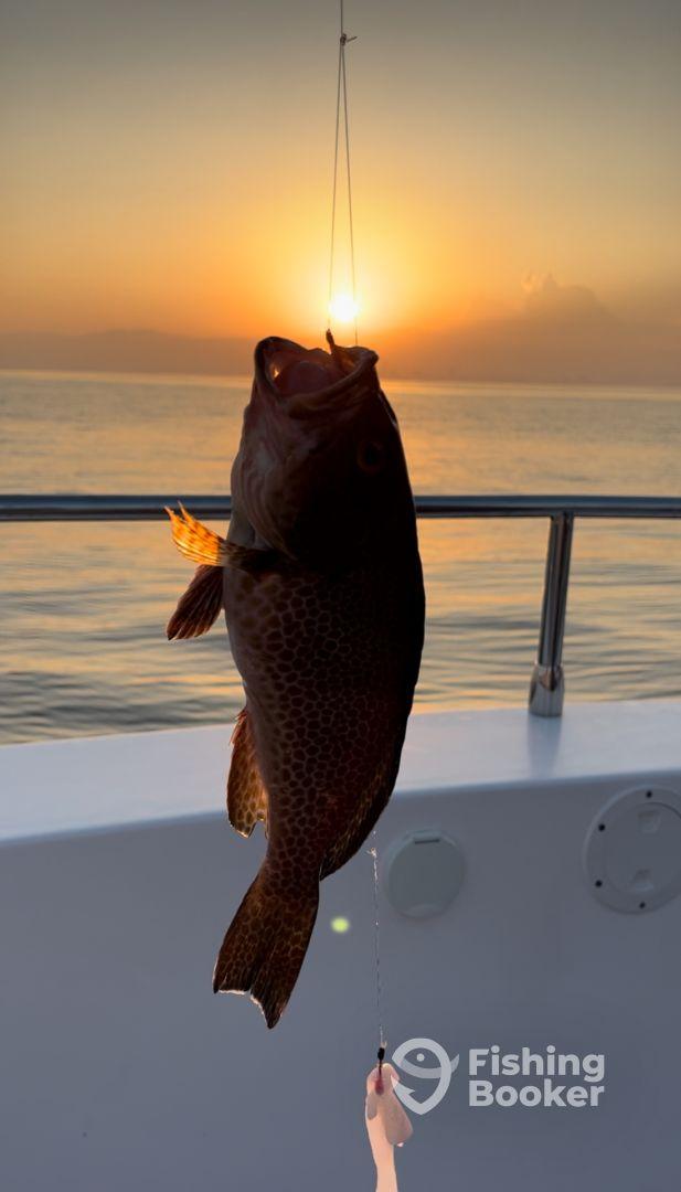 A vibrant sunset backdrop highlights a freshly caught fish being reeled in, showcasing the excitement of fishing at sea.