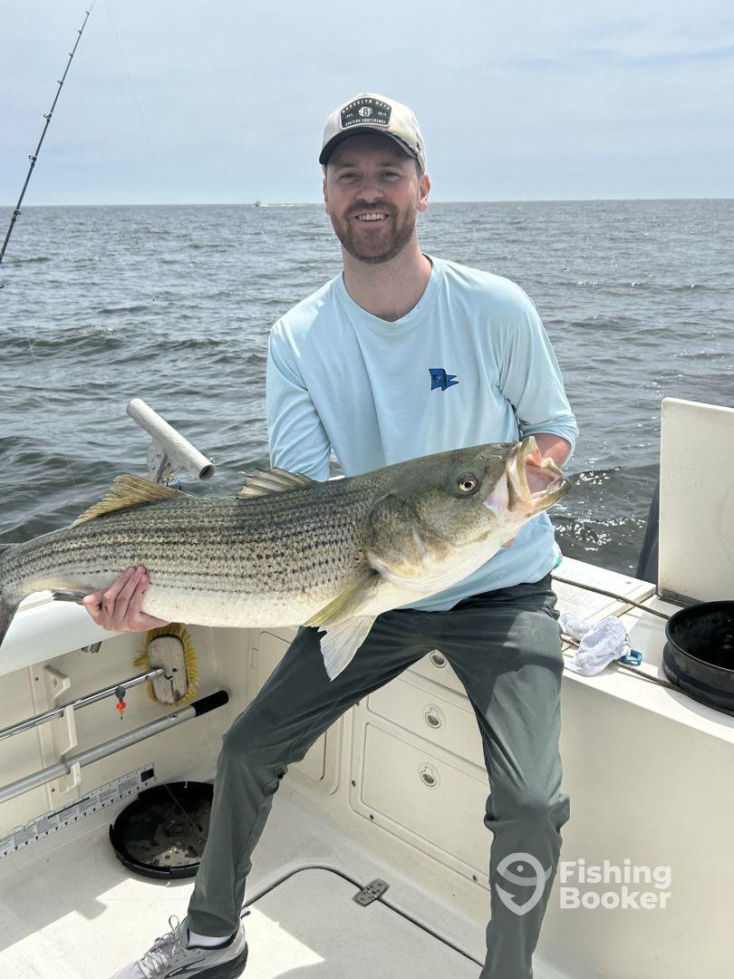 Striped Bass Morning Trip