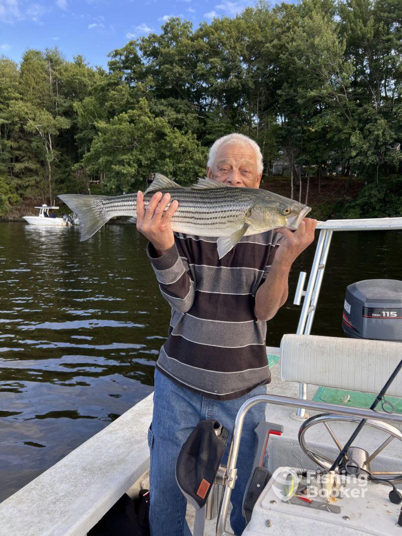 An angler proudly displaying a large striped bass while fishing from a boat surrounded by lush greenery.