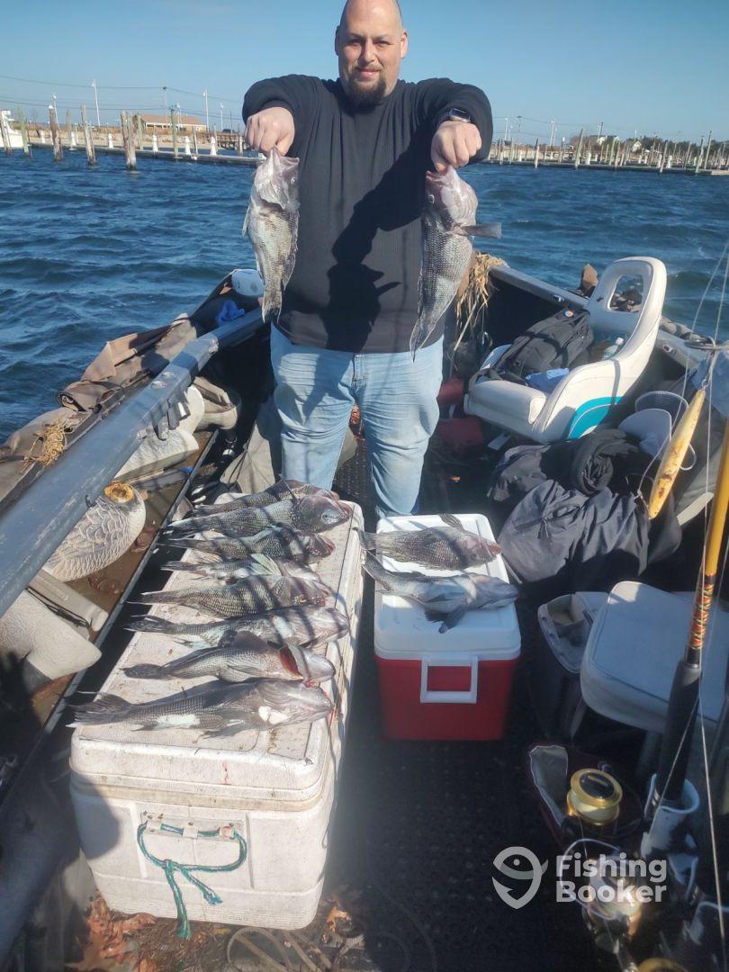 An angler proudly displaying two large Black Sea Bass while surrounded by a successful catch on a fishing trip.