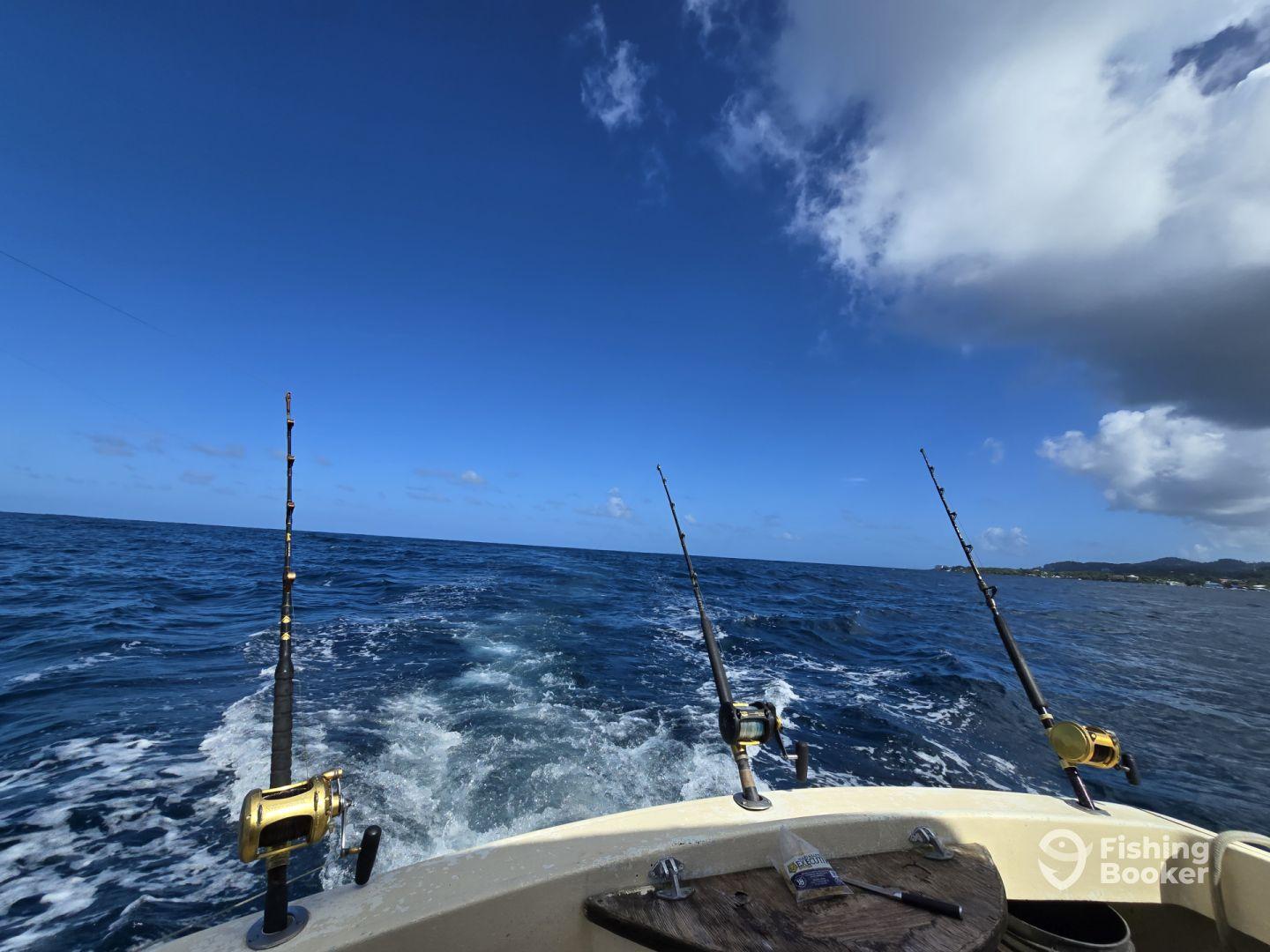 A scenic view from the boat, showcasing fishing rods against a backdrop of clear blue skies and open ocean, typical for a deep-sea fishing adventure.