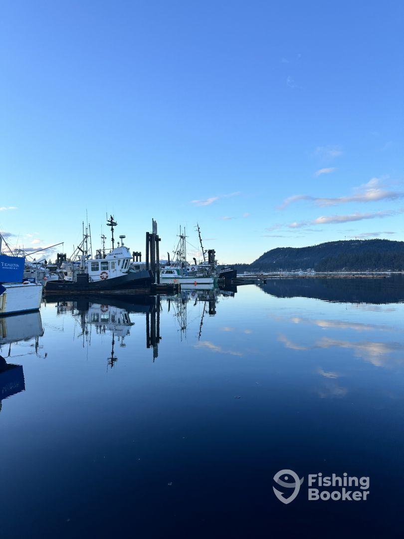A serene view of fishing boats docked in a calm harbor, reflecting the clear blue sky and surrounding hills.