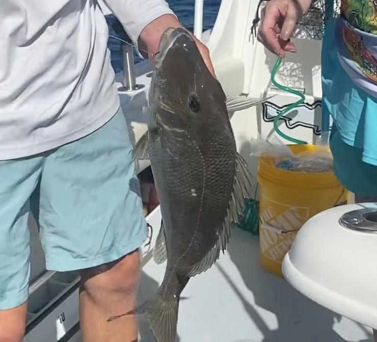 We had a great day on the water! Let’s go again!