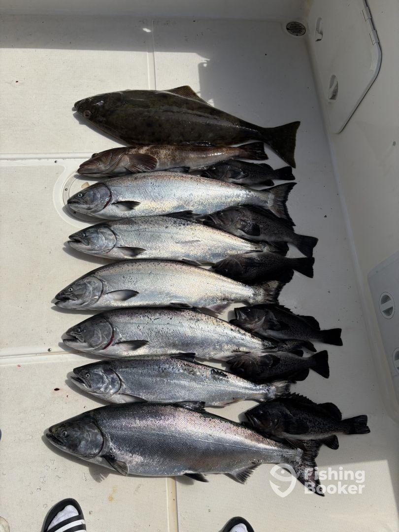 Half Day Morning Fishing Charter