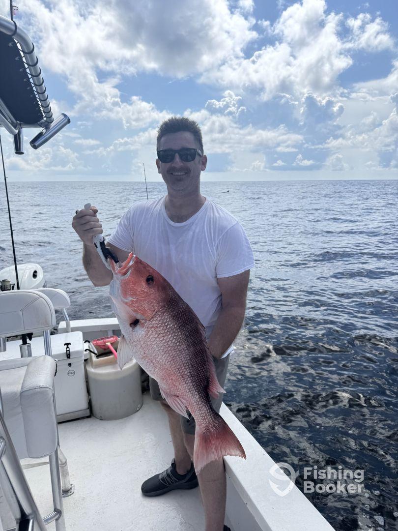 Couldn’t Have Asked For a Better Experience!