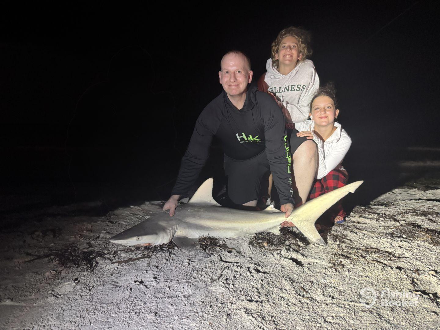 A group of three adults proudly displaying a large shark on the beach at night, showcasing their successful catch during a nighttime fishing adventure.