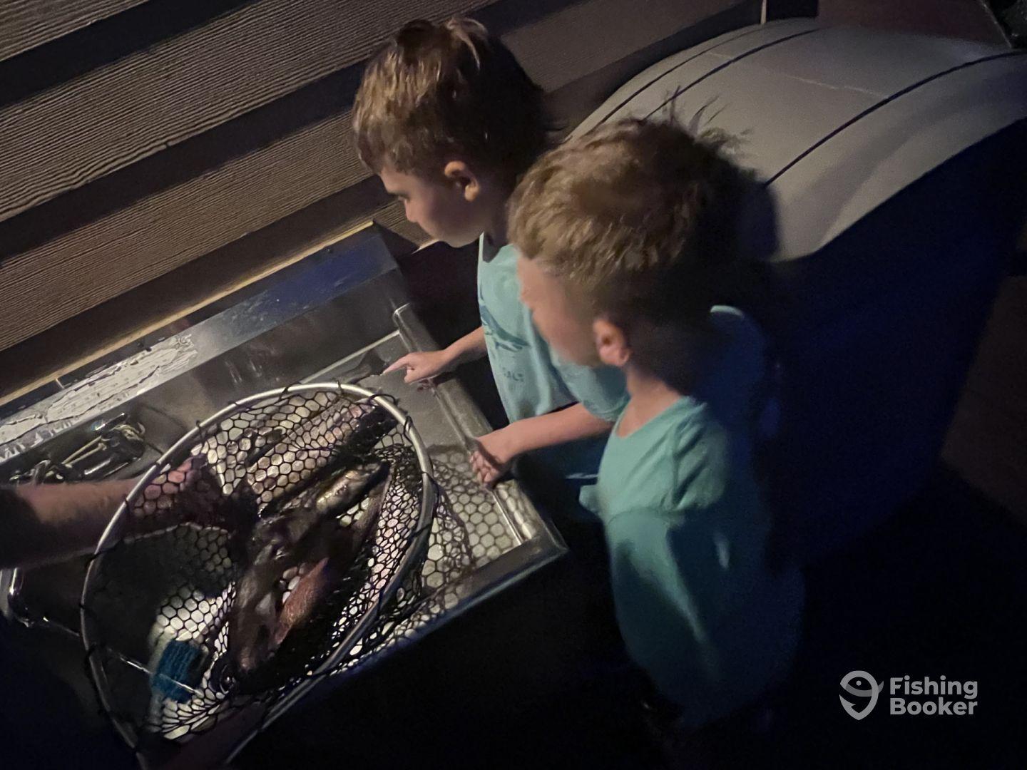 Two young boys observing a catch of fish in a net at a cleaning station, showcasing their excitement after a night fishing trip.