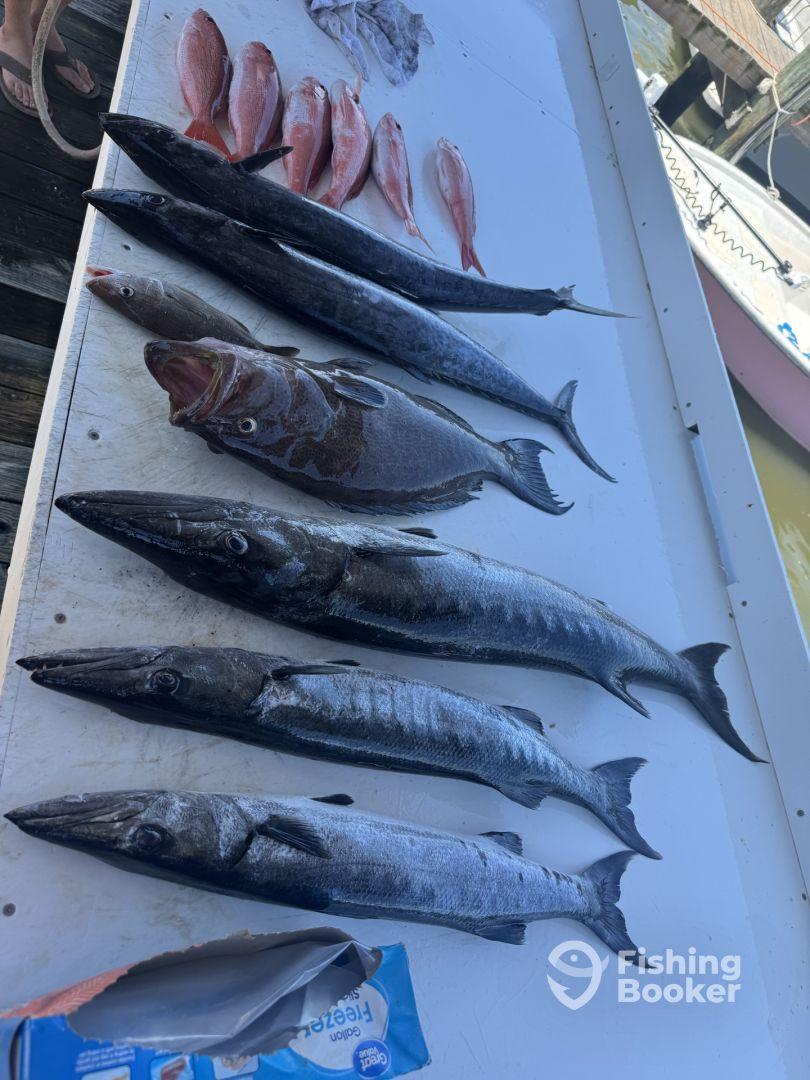 A variety of fish including King Mackerel and Snapper laid out on a cleaning table at a dock, showcasing a successful fishing trip.