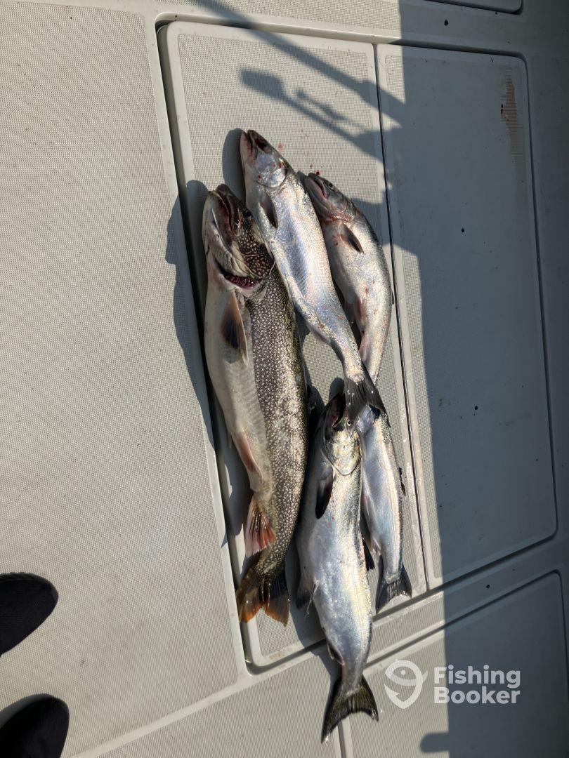 Good captain and mate