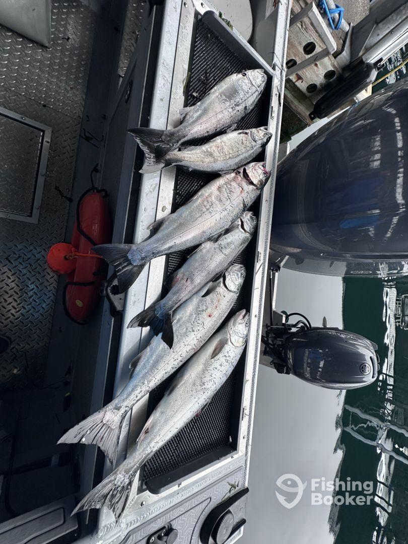 A selection of freshly caught fish displayed on a cleaning table aboard a fishing boat, showcasing a successful day on the water.