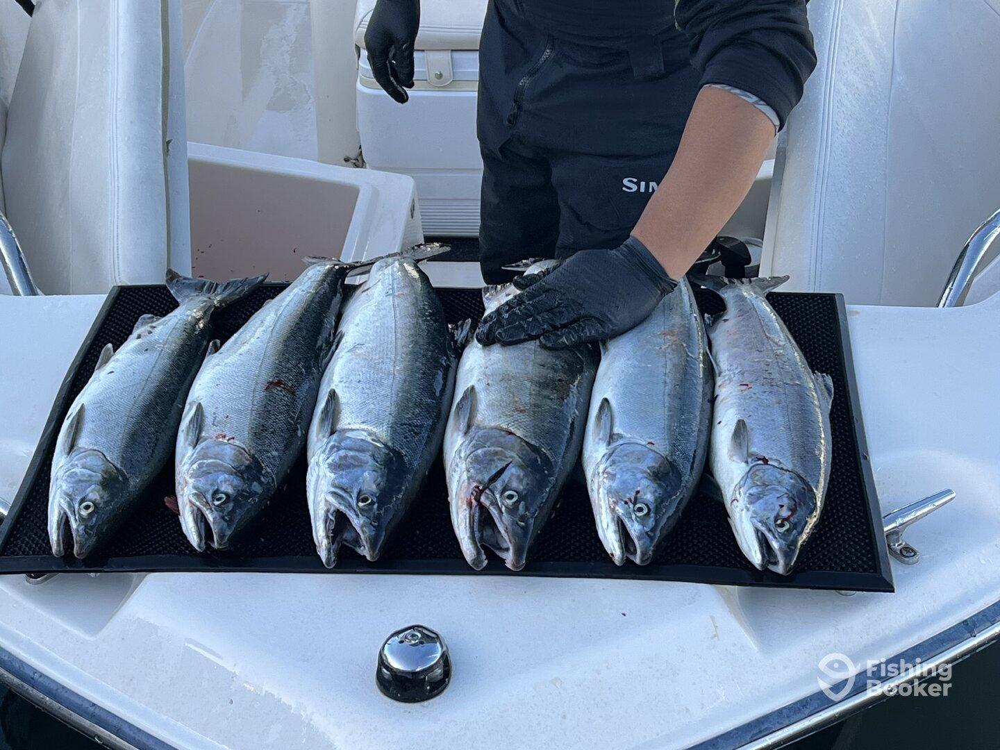 A selection of five freshly caught fish displayed on a cleaning table aboard a fishing boat, showcasing a successful outing.