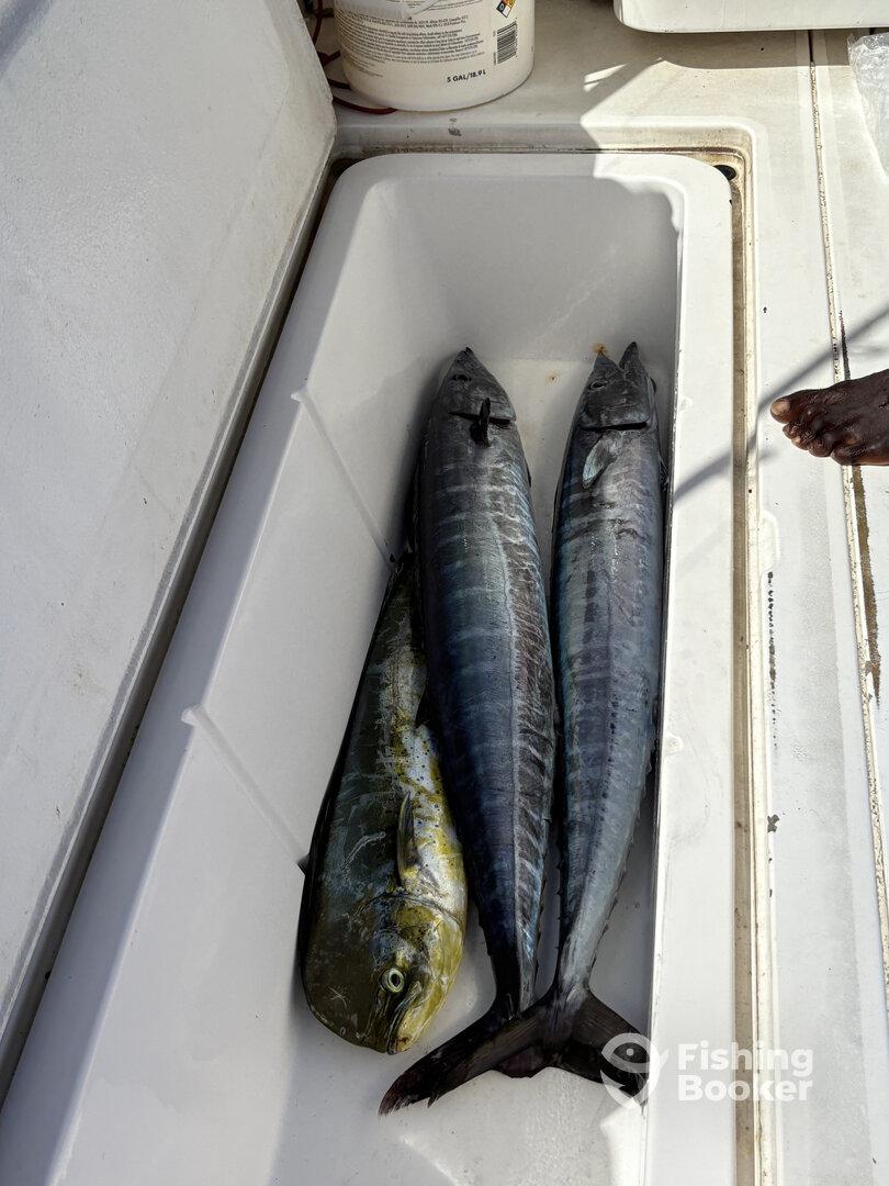 Incredible Experience