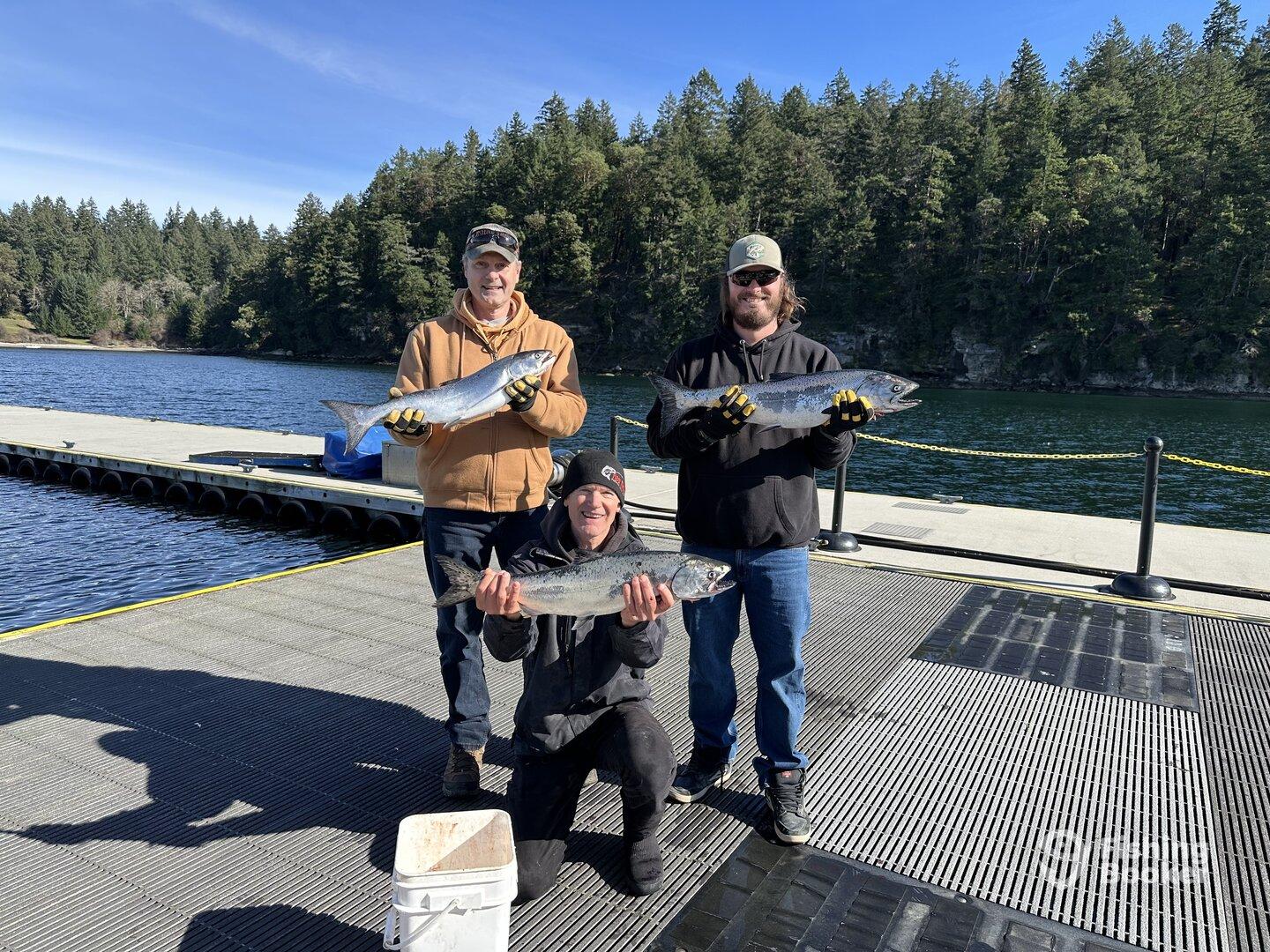 Three anglers proudly displaying their catch of salmon at a scenic dock, surrounded by lush greenery.