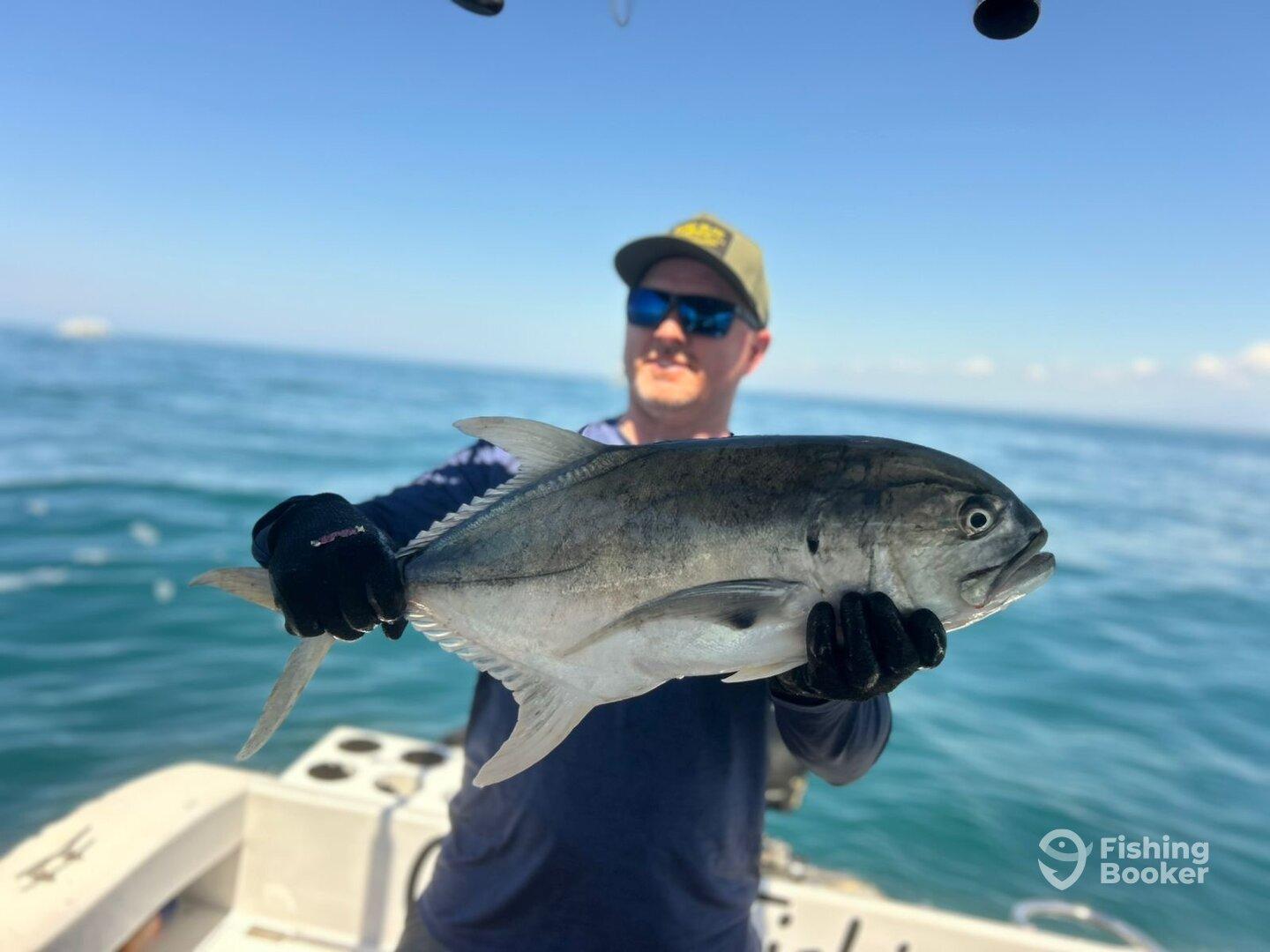 Angler proudly displaying a large Grey Snapper while fishing on a boat in open waters.