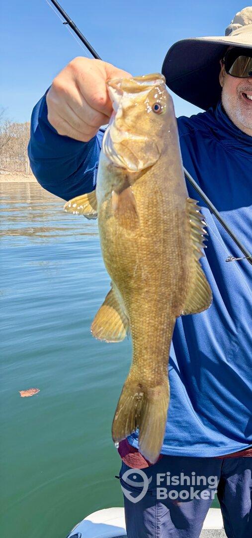 Angler proudly displaying a large Largemouth Bass while fishing on a calm lake.