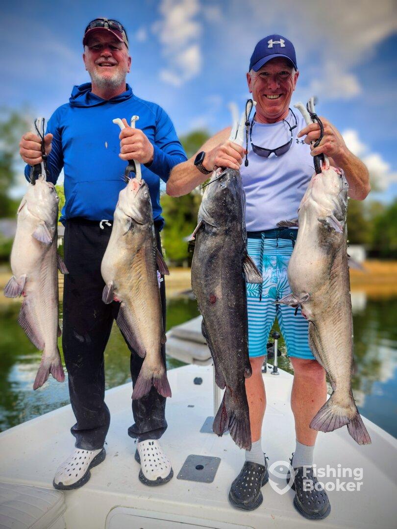 Two anglers proudly displaying their catch of large catfish while standing on the boat, showcasing a successful fishing trip.