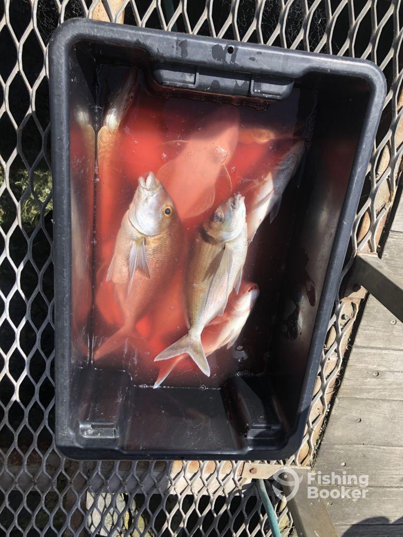 Dads birthday present