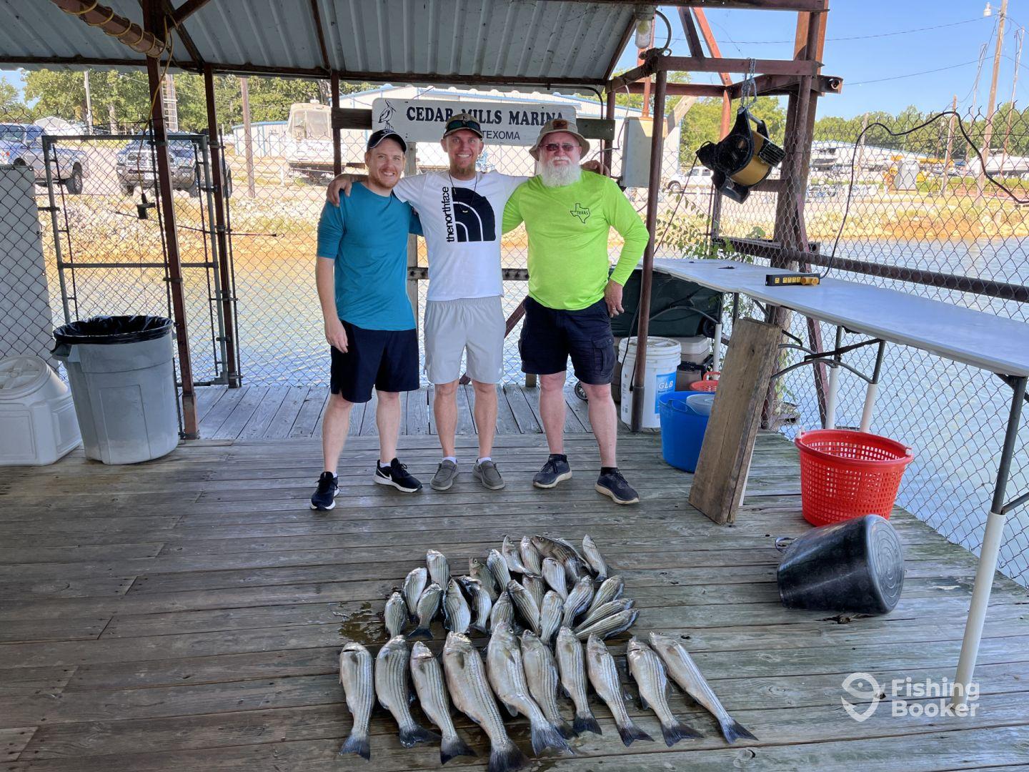 Three anglers proudly display their catch of striped bass on a dock at Cedar Mills Marina, showcasing a successful fishing trip.