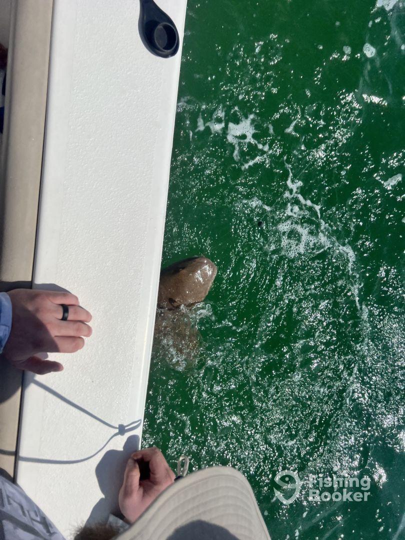 An angler is reeling in a fish while leaning over the side of the boat, showcasing the excitement of fishing in vibrant green waters.