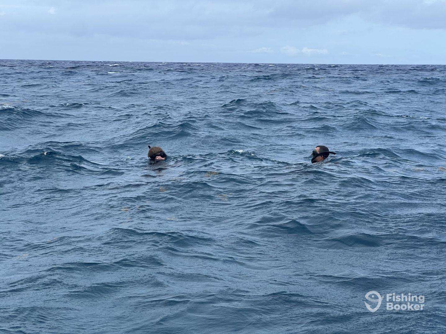 Two individuals swimming in open water, likely engaged in snorkeling or diving activities.